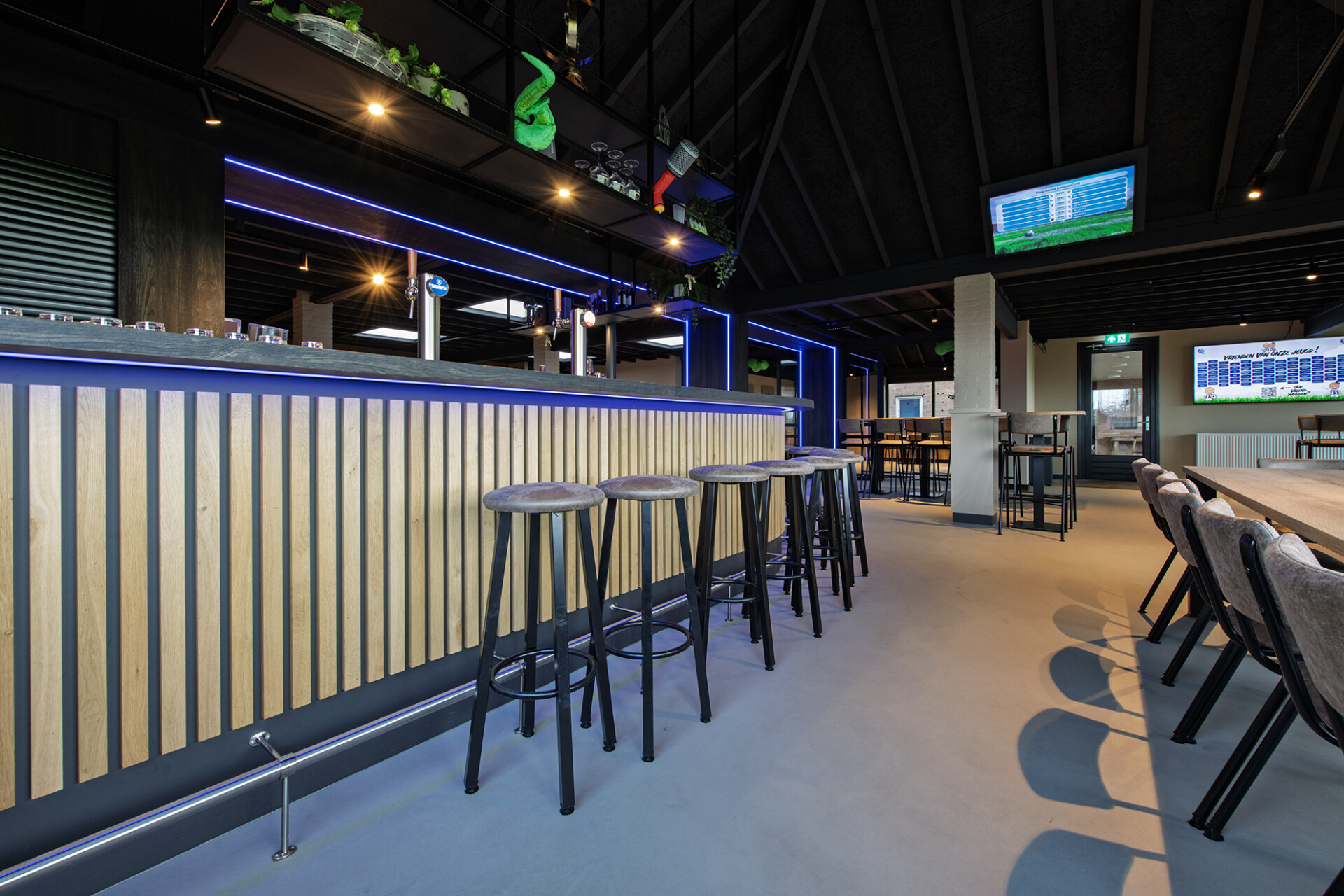 Lavasteen Fossil ELI 8