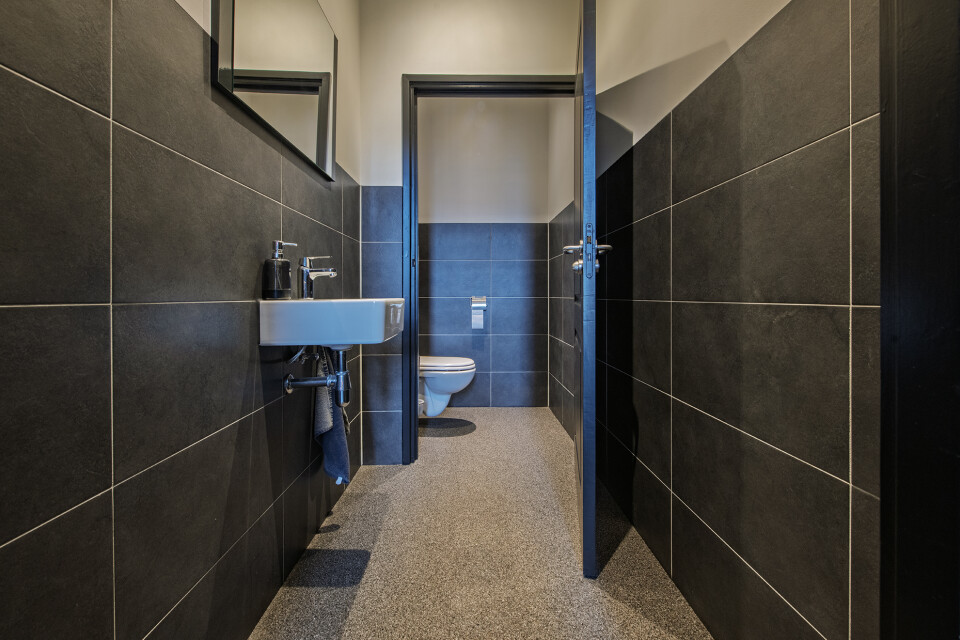 Siergrind Sietse Prince 20